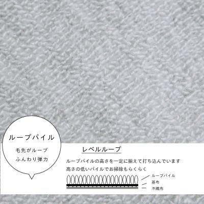 ふるさと納税 和泉市 防ダニ カーペット 6畳 日本製 抗菌防臭 ノースポール 江戸間 261×352cm グレー |  | 01