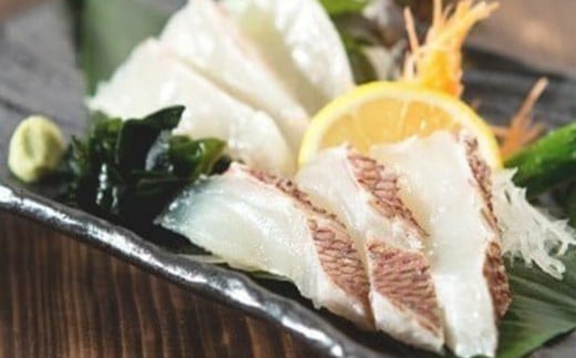 6ヶ月 連続 定期便 こだわり お魚 コース | かつお かつおのたたき かつおのタタキ 鰹のたたき サバ さば 鯛 たい タイ 勘八 カンパチ 鰤 ブリ ぶり 漬け丼 刺身 頒布会 6回 みなみ丸 