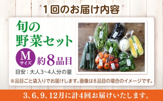 【先行予約】【2027年1月以降発送開始】【全4回定期便】旬の野菜セットMサイズ 野菜8品目 島根県松江市/須山農園 [ALBD008]セット 産地直送 詰め合わせ 旬の野菜 旬野菜 野菜詰め合わせ 