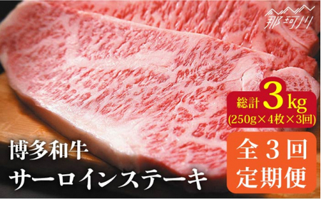 【全3回定期便】博多和牛 牛肉 サーロイン ステーキ 1kg（250g×4枚）＜株式会社MEAT PLUS＞那珂川市 牛肉 サーロインステーキ サーロイン ステーキ 牛肉 牛肉定期便 和牛定期便 定期