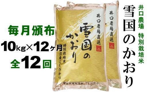 
【定期便】１０kg×１２ヶ月　南魚沼産コシヒカリ 井口農場 こだわりの 特別栽培米
