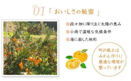 訳あり 早生みかん 大小混合 7.5kg 和歌山みかん