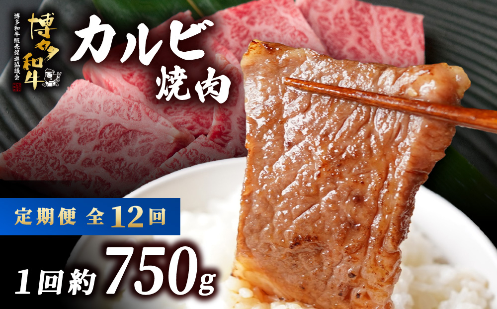 ≪定期便・全12回≫博多和牛 カルビ焼肉（バラ）
