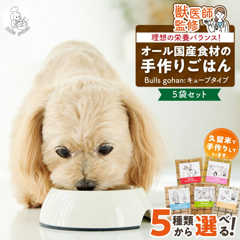 【ふるさと納税】CUBE型 20個入×5袋 無添加ドッグフード 1袋300g(馬肉・豚肉・鹿肉・鶏肉・魚の中から5袋) 国産 手作り アレルギー ウェット 子犬 シニア犬 冷凍 ヒューマングレード 老犬 小型犬 お試し 選べる ペットフード ブルズごはん