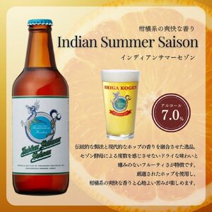 定期便 6ヶ月 クラフトビール 志賀高原ビール 6本 セット 玉村本店 クラフトビール