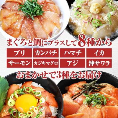 ふるさと納税 田野町 これが魚屋の漬け丼だ!魚屋のおまかせ5種漬け丼セット(鮪+鯛+おまかせ3種) 5種×2P(80g) |  | 01