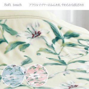 泉大津産 『ロマンス』 マイヤー毛布 色：アイボリー シングル 663087109010 [1439]