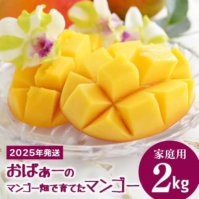 【先行予約 2026年 発送】おばぁーのマンゴー畑で育てたマンゴー 家庭用 沖縄県産 マンゴー 2kg アップルマンゴー アーウィンマンゴー 国産 完熟マンゴー 果物 南国 くだもの フルーツ 完熟 夏 旬 特産品 沖縄 お取り寄せ 名産品 甘い 濃厚 糸満市 17-4