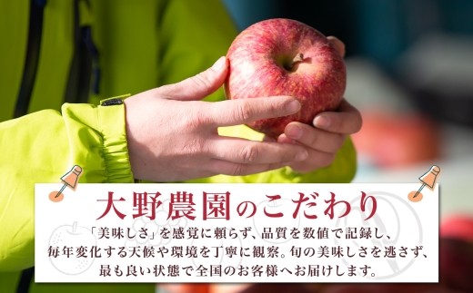 サンふじ 3kg （S規格）10～12玉
