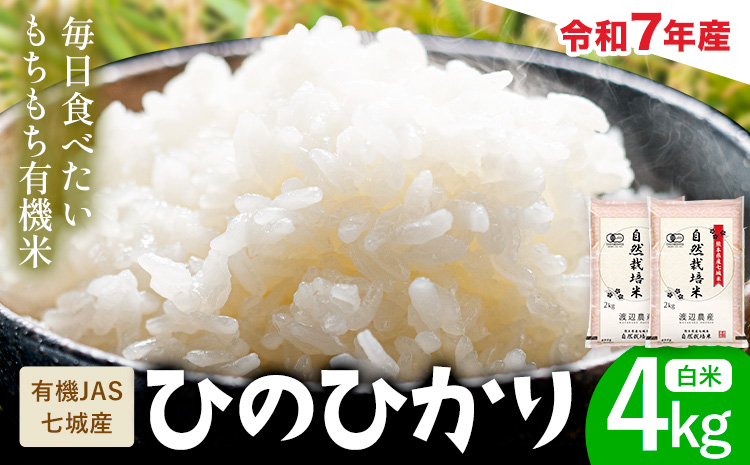 令和7年産 有機JAS 七城産ひのひかり 精米 4kg 《30日以内に出荷予定(土日祝除く)》渡辺農産熊本県 菊池市 米 お米 精米 ひのひかり 菊池市産 熊本県産 九州産 送料無料---171-19