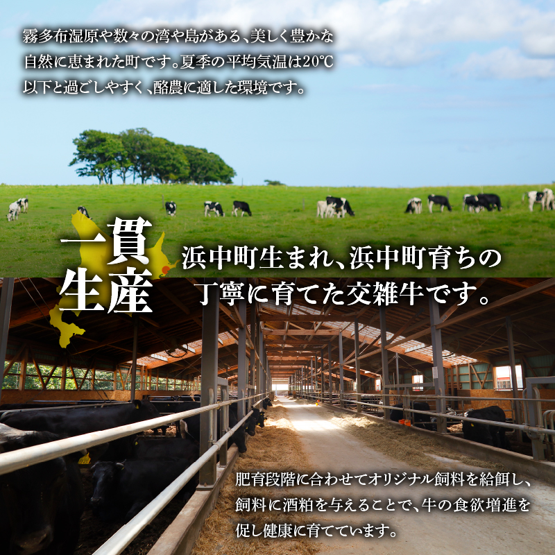 北海道浜中黒牛サーロインステーキ3枚(約510g)_H0019-105