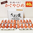 【ふるさと納税】卵 40個 かぐやひめ 国産 福岡上毛町産 鶏卵 地鶏の卵 平飼い 放し飼いたまご 生卵 たまごかけご飯 炊きたてのご飯 卵黄 卵白 お取り寄せ お取り寄せグルメ 食品 食べ物 ごはんのおとも 冷蔵 送料無料 C01504