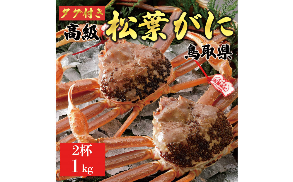 【2026年11月発送】特撰 松葉がに（なま）【ブランドタグ付き】1kg超の大きいサイズ 食べ応えあり 特大2杯