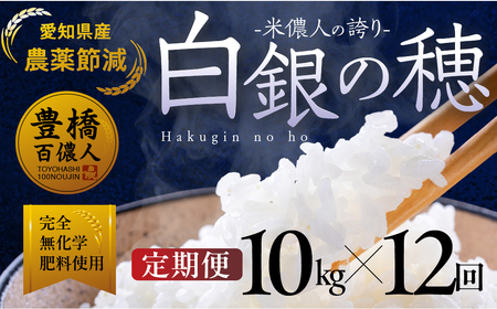 【定期便】米儂人の誇り 白銀の穂 10kg×12回 お米お米お米お米お米お米