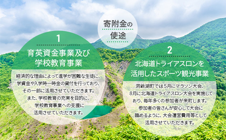 洞爺湖町 寄附のみの応援受付 2,000円コース（返礼品なし 寄附のみ 2000円） 支援 自治体支援 お礼の品なし 北海道 洞爺湖町の発展 ふるさと応援 ふるさと支援 