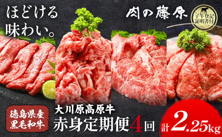 《定期便》全4回お届け！大川原高原牛　赤身(スライス・切り落とし・焼肉・しゃぶしゃぶ 各500gずつ) 株式会社肉の藤原 《お申込み月の翌月から出荷開始》牛肉 定期便 月1回 徳島県 佐那河内村３