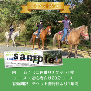 【乗馬 体験 チケット】ミニ 遠乗り 20分～初心者 向け、5歳 以上～(1名様)【曽於市観光協会】 A783