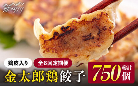 【全6回定期便】金太郎鶏 ぎょうざ（25個×5袋セット）＜有限会社 フジノ香花園＞那珂川市 冷凍餃子 冷凍餃子 冷凍ぎょうざ 冷凍餃子 餃子 ぎょうざ ぎょうざ ギョウザ餃子 [GAM015] 101000 101000円