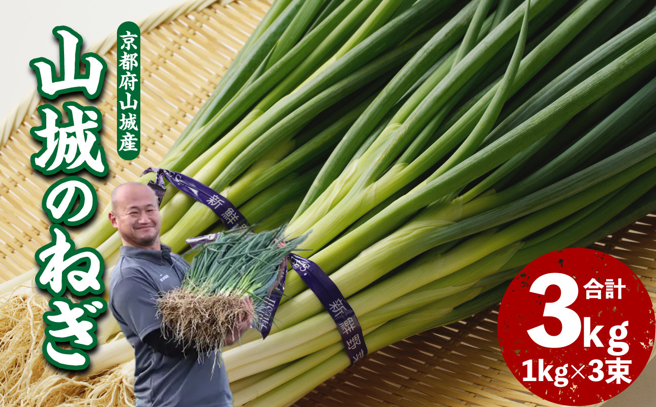 
            山城のねぎ 3kg 京野菜 ねぎ 山城のねぎ 京都府 木津川市 ねぎ 【001-14】
          