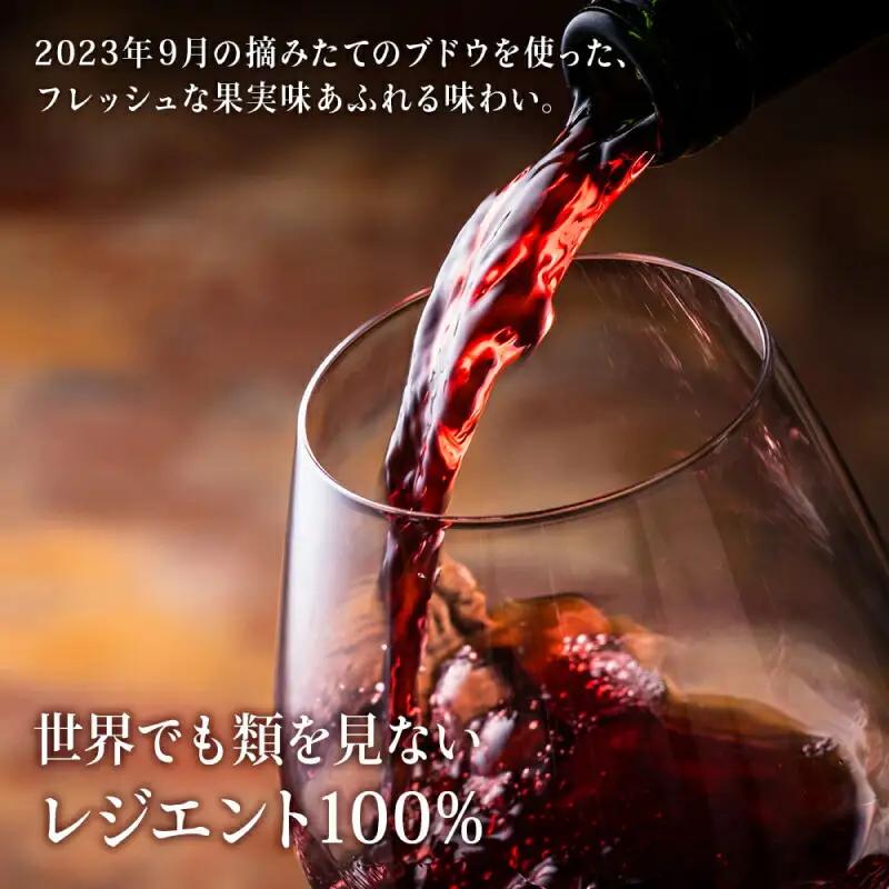 【数量限定】 ヨイチヌーヴォー レジェント 2023 【キャメルファーム】 余市 北海道 ワイン 赤ワイン ヌーヴォー ヌーボ 国産 キャメル カルディ おすすめワイン 余市のワイン 北海道のワイン 