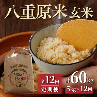 ふるさと納税 東御市 令和7年新米受付【12回定期便】八重原米5kg(1袋)玄米※2025年10月以降順次発送|笹屋農園