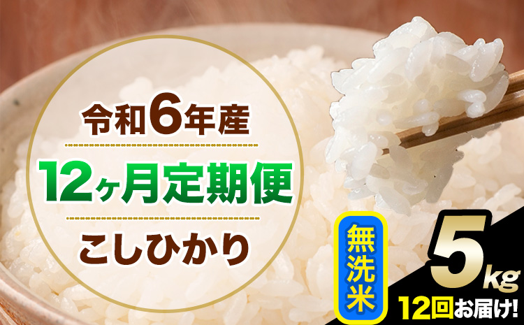 【12ヶ月定期便】令和6年産 定期便 こしひかり 無洗米 定期便 5kg 精米 熊本県産(南阿蘇村産含む) 単一原料米 南阿蘇村《申込み翌月から発送》---kh6tei_180000_5kg_mo12_mna_m---