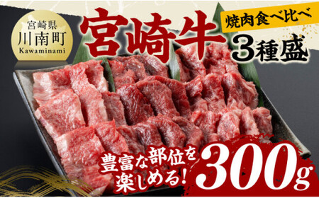 宮崎牛 焼肉 食べ比べ 3種盛 300g【 肉 牛肉 国産 宮崎県産 黒毛和牛 和牛 焼肉 バーベキュー 】