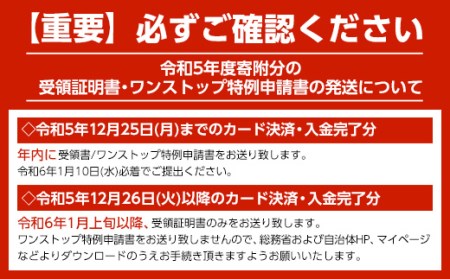 札幌麺匠 北海道小麦100%使用北海道海鮮ラーメン 3種×2セット（6食入り） 