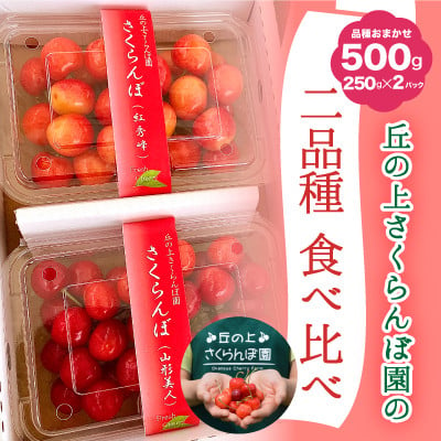 
            A-117【2025年6月から発送予定】さくらんぼ食べ比べセット 500g＜さくらんぼ2種入り　各250g＞　先行予約　さくらんぼ
          