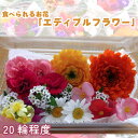 【ふるさと納税】No.216 食べられるお花「エディブルフラワー」 ／ 花 食用 観賞用 華やか 旬 詰め合わせ 送料無料 東京都