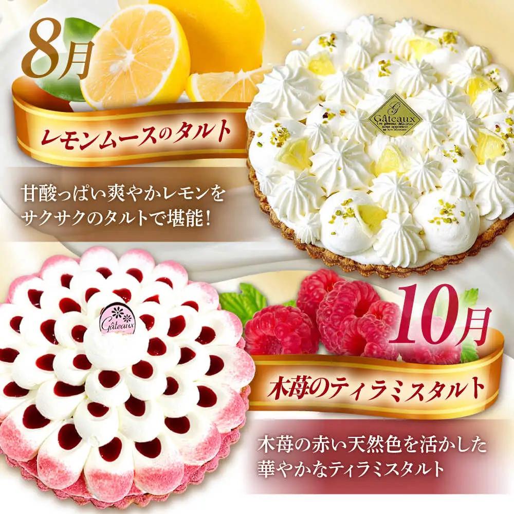 【偶数月 5回定期便】季節の タルト 定期便 / ティラミス お菓子 ケーキ チョコレート マンゴー レモン タルト フルーツ 旬 スイーツ 南島原市 / アトリエジジ[SAA034]