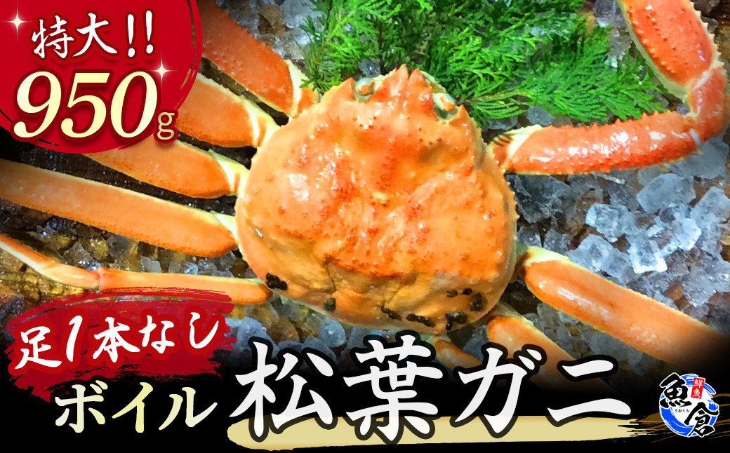 
            【先行予約】【魚倉】足１本なしボイル松葉ガニ（特大950g） 訳あり 松葉ガニ カニ ズワイガニ カニ爪 ボイル 冷蔵 ずわいがに 国産 わけあり 足欠け 足かけ 特大 鮮度抜群 鳥取県 倉吉市
          