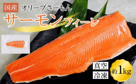 サーモン 冷凍 フィーレ 1kg 生食用 産地直送 小分け サケ 鮭【切り身 生食 お刺し身 刺身 カルパッチョ 造り 魚介 国産 香川県 讃岐 さぬき】