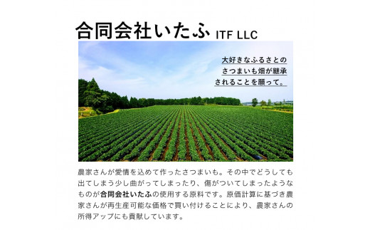 焼き芋のテリーヌ 60g×6個 合同会社いたふ 《30日以内に出荷予定(土日祝除く)》---so_fitateri_30d_24_10000_3600g---