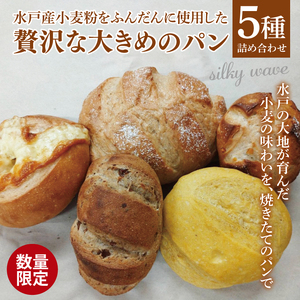 【数量限定】水戸産小麦粉をふんだんに使用した贅沢な大きめのパン５種詰め合わせ（ LS-1）