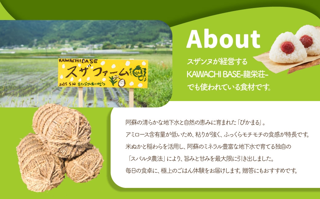 スザファーム産スザンヌが心をこめてお届けする【令和7年度産米】阿蘇のぴかまる 5kg【2025年10月上旬発送開始】