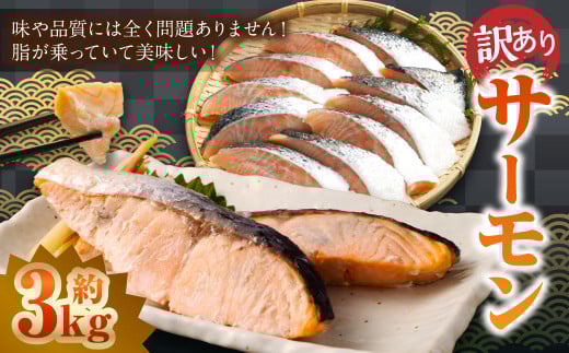 【 訳あり 】 骨取 サーモン（メラニンサーモン） 約3kg 魚 魚貝類 魚介 さかな サカナ お魚 アトランティックサーモン さけ 鮭 冷凍