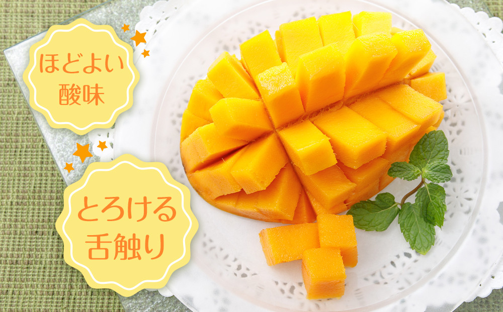 紅金煌 マンゴー 2~3個 入り 合計 800g前後