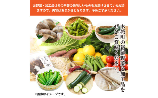 木城町産農産物と加工品セット_K04_0001_3