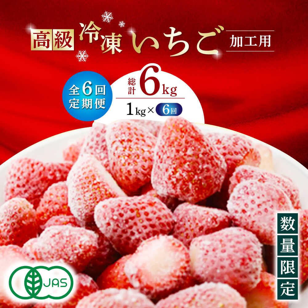 【ふるさと納税】【6回定期便】高級 冷凍 いちご 加工用 約1kg（約500g×2袋）【伊藤農園】[ZBB016]