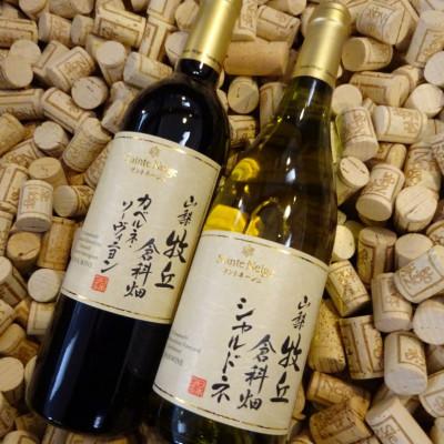 ふるさと納税 山梨市 山梨牧丘倉科畑シャルドネ カベルネ・ソーヴィニヨン 赤白ワイン計2本セット