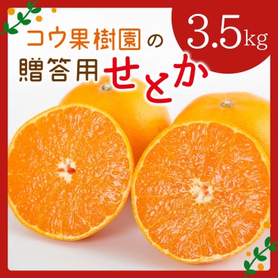 コウ果樹園の贈答用【せとか】3.5kg(バラ詰め)【C33−34】【1457340】