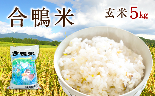 〈令和7年産〉合鴨米 玄米 5kg【2025年10月上旬～2026年10月上旬発送予定】