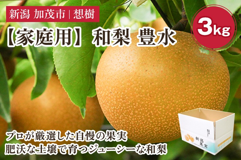 
                  【2026年先行予約】【家庭用】新潟県産和梨 豊水 約3kg（4～9玉）《9月上旬～順次出荷》 梨 なし ナシ 豊水 ほうすい  果物 果樹 フルーツ 樹上完熟 加茂果樹専門家集団 加茂市 想樹
                