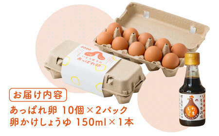 【卵かけご飯セット】いとう君ちのあっぱれ卵20個・卵かけ醤油「たましょー」セット /いとう養鶏場[UAQ007]