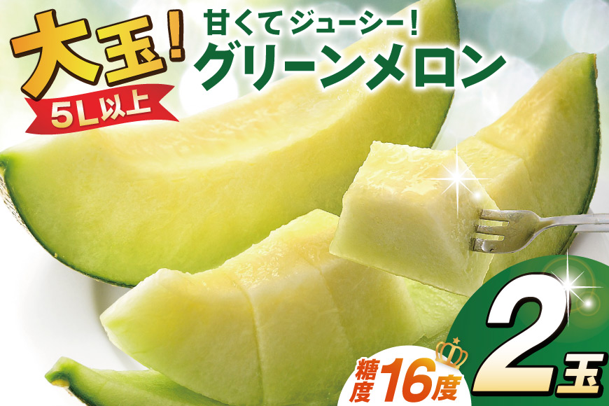 【期間限定発送】メロン 雲仙グリーンメロン 大玉 2玉 [長崎県農産品流通 長崎県 雲仙市 item1560] めろん 果物 フルーツ くだもの 季節限定 期間限定