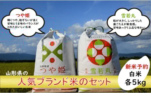 人気のブランド米　つや姫、雪若丸　白米セット（白米各5kg）（飯豊町産）【新米予約】　
