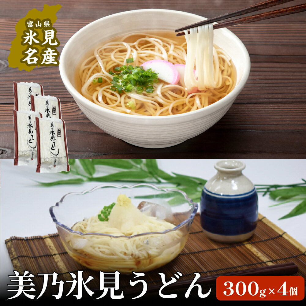 【ふるさと納税】訳あり 美乃氷見うどんお徳用4個入 | 細麺 手延べ