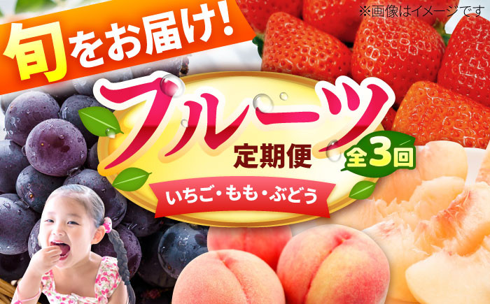 
【★先行予約★　2025年2月発送開始】【3回定期便】3回コース いちご もも ぶどう 巨峰 ピオーネ イチゴ 桃 ブドウ くだもの フルーツ 広川町 / JAふくおか八女農産物直売所どろや [AFAB010]
