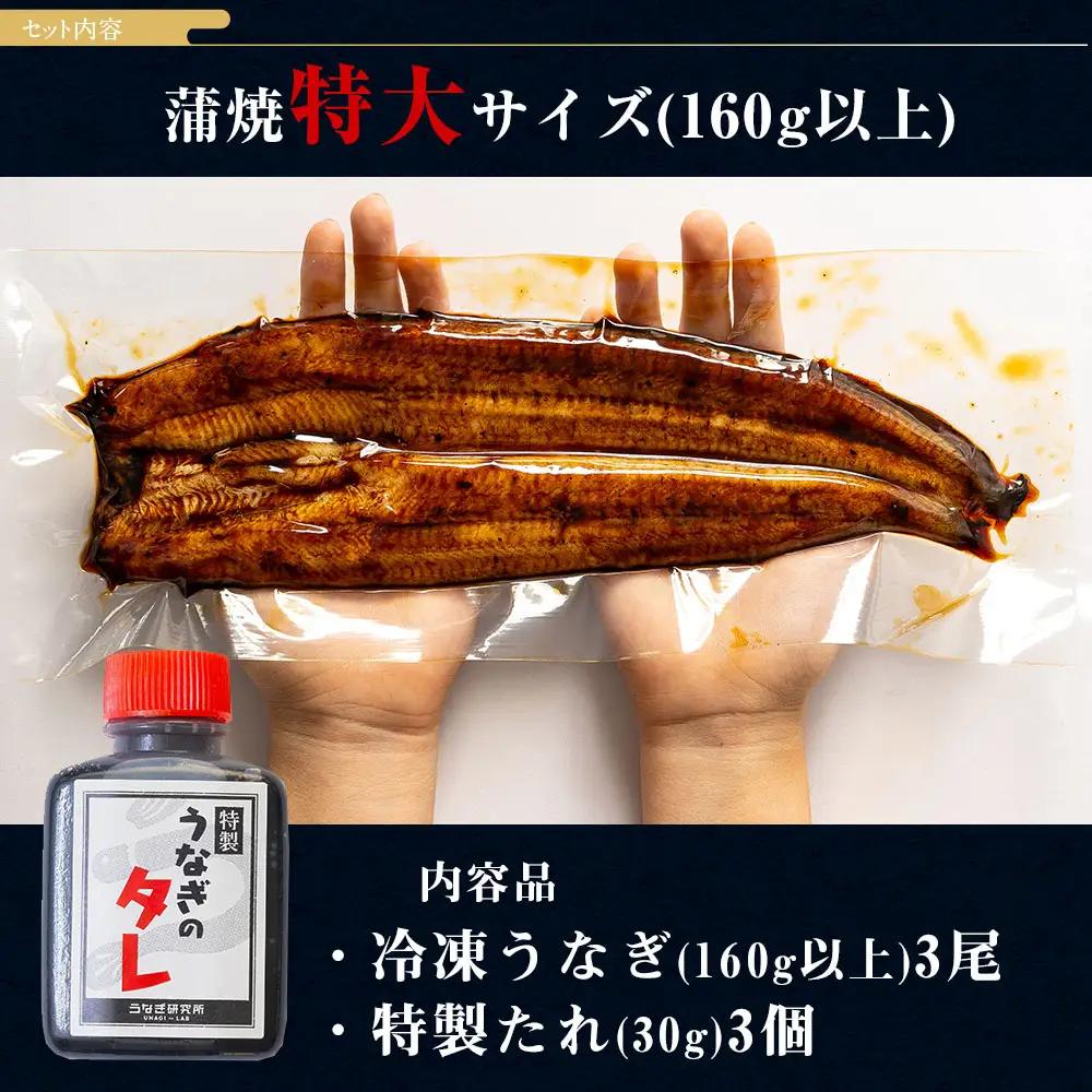 【期間限定】三河一色産うなぎ蒲焼特大3尾(計480g以上)・R008-24